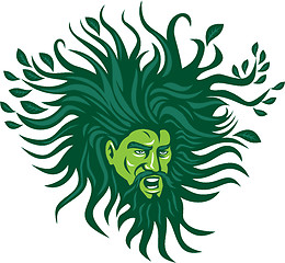 Image showing Green Man Head Hair Flowing Leaves Cartoon