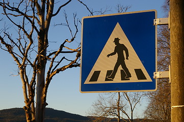 Image showing Pedestrian crossing