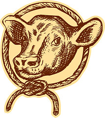 Image showing Cow Bull Head Rope Circle Etching