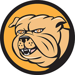 Image showing Bulldog Head Circle Cartoon