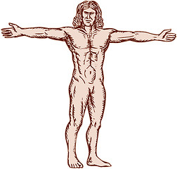 Image showing Vitruvian Man Arms Spread Front Etching