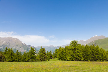 Image showing Italian Alps