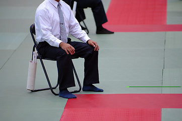 Image showing Karate referee