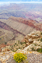 Image showing Grand Canyon