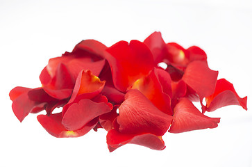 Image showing Red rose petals 