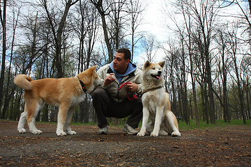 Image showing Dogs in the forest