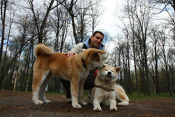 Image showing Dogs in public park