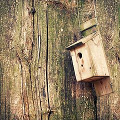 Image showing Nesting Box on a tree