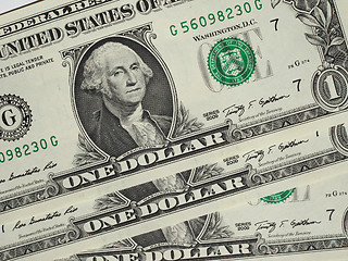 Image showing Dollar notes 1 Dollar