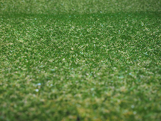 Image showing Green artificial synthetic grass meadow background