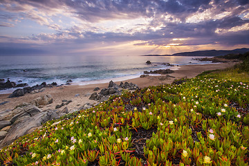 Image showing Coastal landscape on Corse, France, Europe.