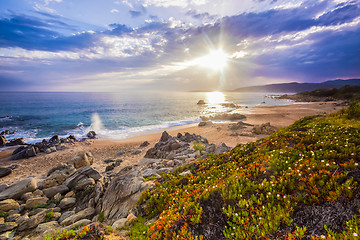 Image showing Coastal landscape on Corse, France, Europe.