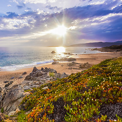 Image showing Coastal landscape on Corse, France, Europe.