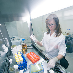 Image showing Life scientist researching in the laboratory.