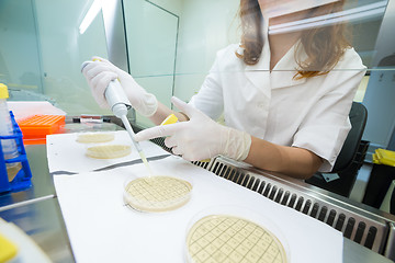 Image showing Life scientist researching in the laboratory.