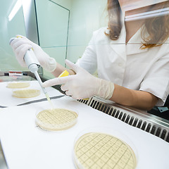 Image showing Life scientist researching in the laboratory.