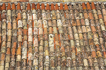 Image showing Old roof tiles