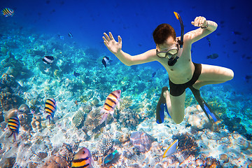 Image showing Snorkeler Maldives Indian Ocean coral reef.