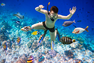 Image showing Snorkeler Maldives Indian Ocean coral reef.