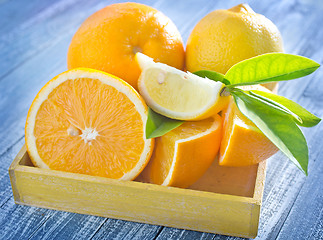 Image showing citrus