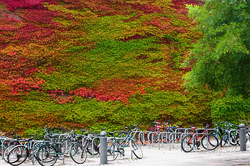 Image showing University of Cambridge, Churchill college bicycle park