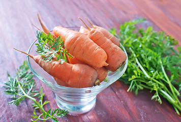 Image showing carrot