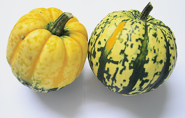 Image showing green and yellow ornamental squashes