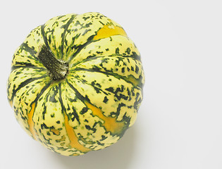 Image showing green and yellow ornamental squash