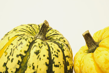 Image showing green and yellow ornamental squashes