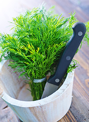 Image showing fresh dill