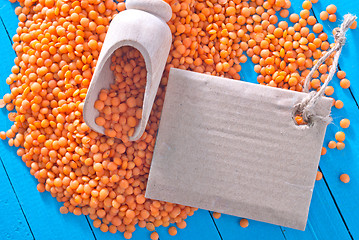 Image showing lentil