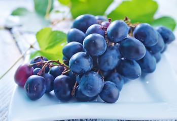 Image showing grape