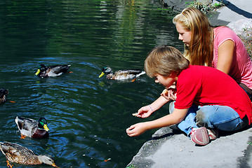 Image showing Children feeding ducks