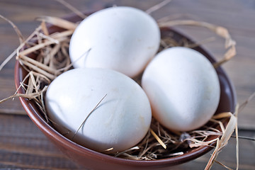 Image showing raw eggs