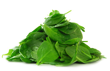 Image showing Spinach