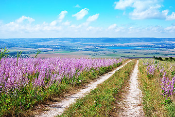 Image showing field