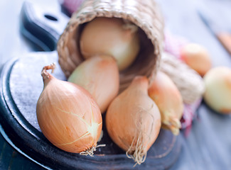 Image showing onion