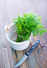 Image showing fresh dill