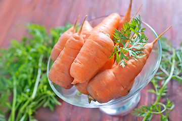 Image showing carrot