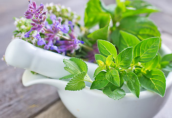 Image showing aroma herb