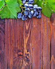 Image showing grape