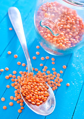 Image showing lentil