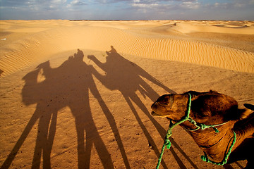 Image showing sunrise in the sahara\'s desert