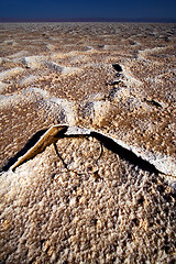 Image showing chott el jerid,tunisia