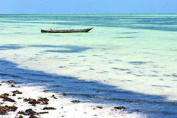 Image showing beach   in zanzibar seaweed    ocean tanzania    