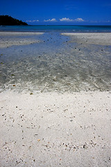 Image showing beach