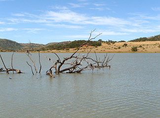 Image showing Pilanesberg Game Reserve
