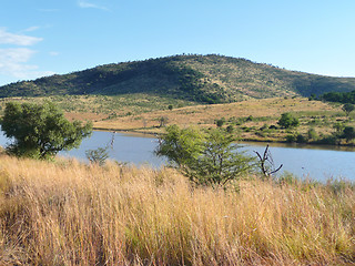Image showing Pilanesberg Game Reserve