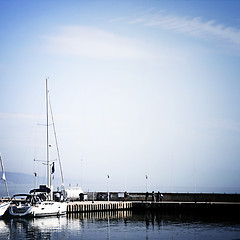 Image showing Sailing boats