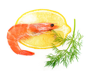 Image showing shrimp, a lemon, fennel